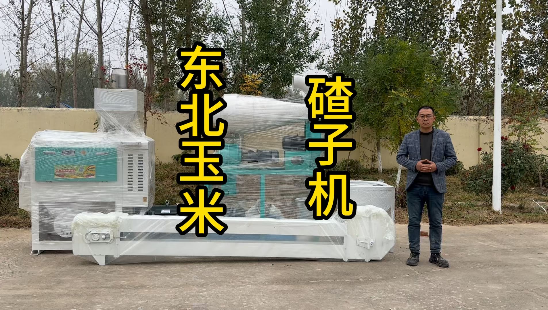 东北玉米碴子机,全自动玉米碴子加工机器