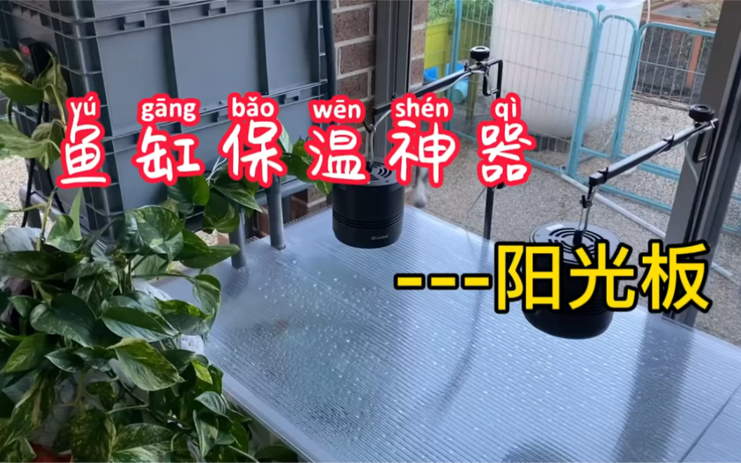 鱼缸保温神器……阳光板哔哩哔哩bilibili