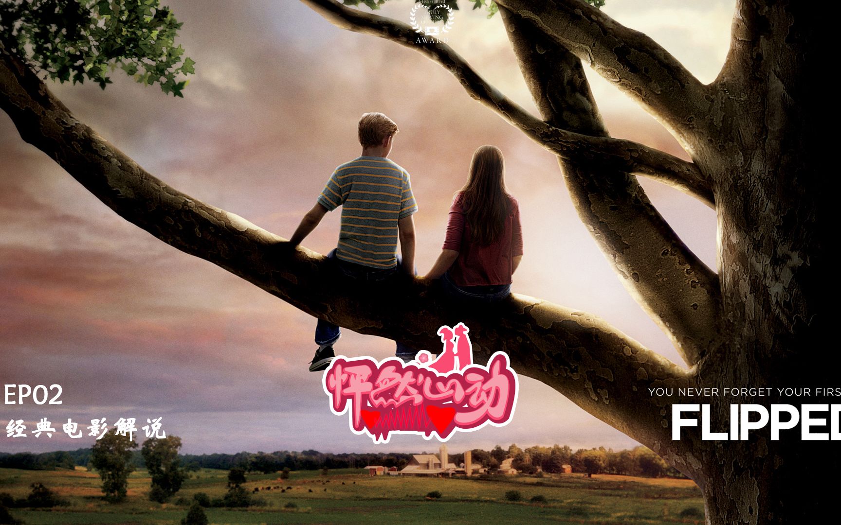 愿天下有情人终成眷属 经典电影解说之《怦然心动》