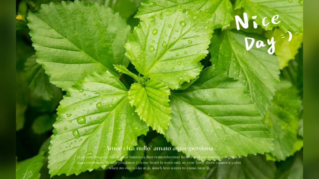 认真你就输了,但一直认真你就赢了