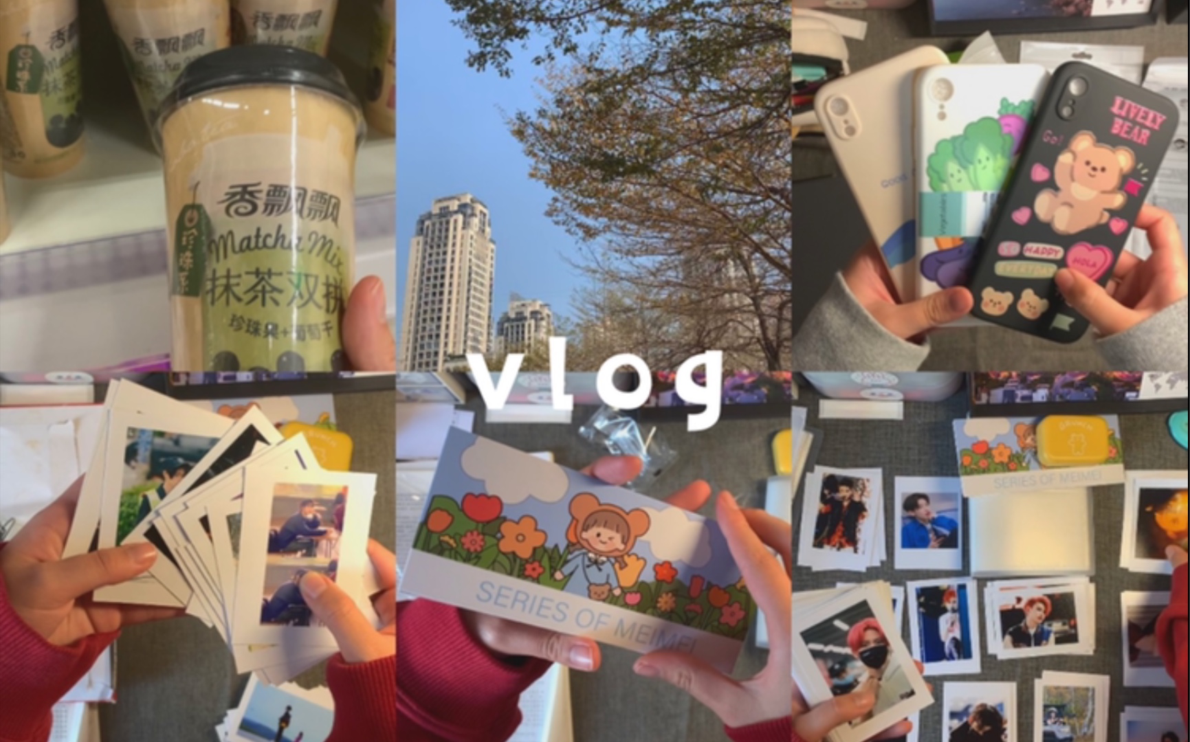 vlog#25|要过年啦|逛花市|买年货|写作业|除夕快乐!哔哩哔哩bilibili