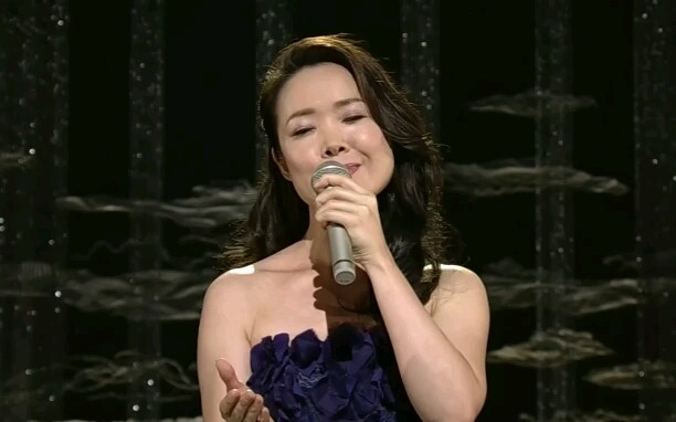 田川寿美〗星の流れに