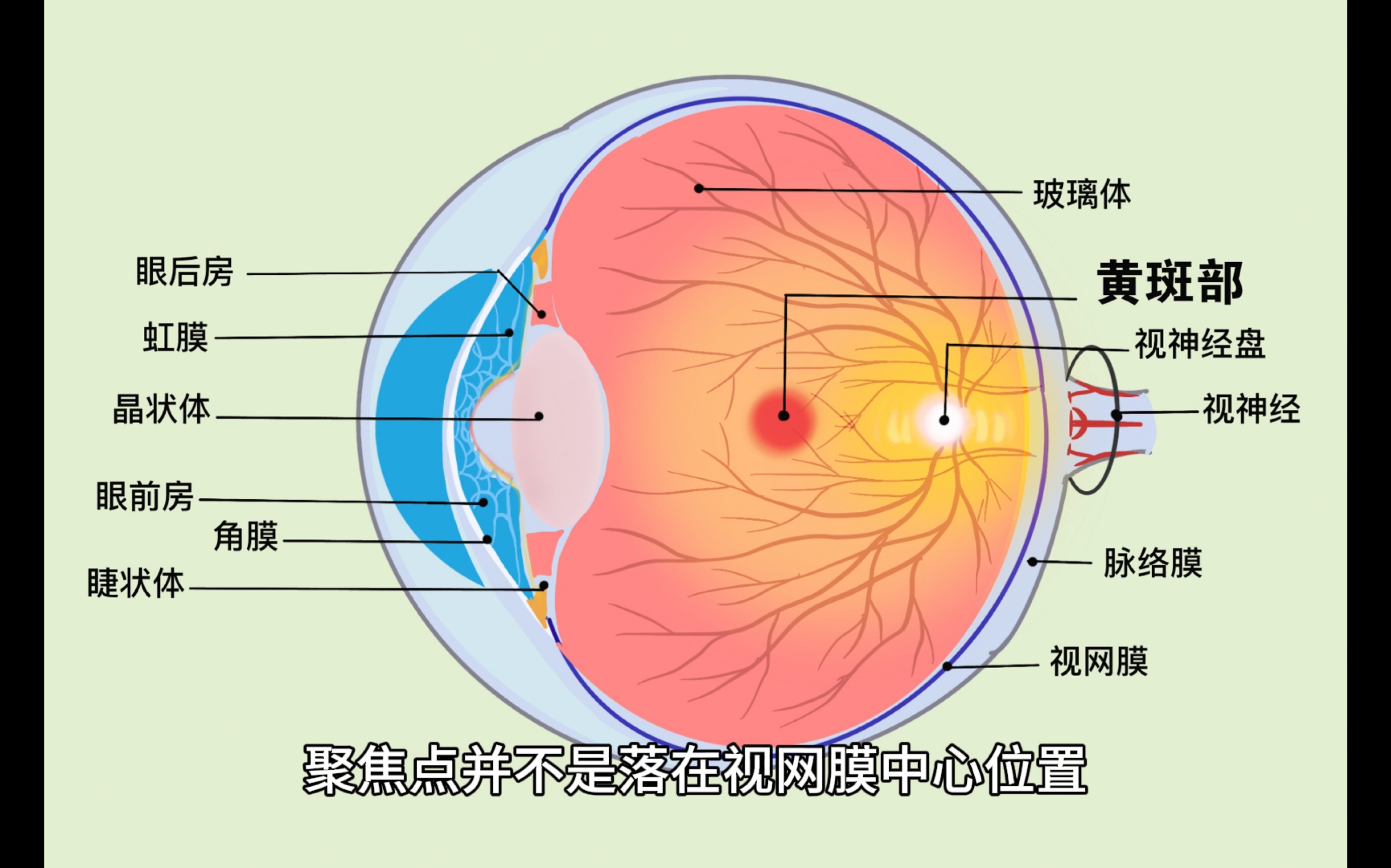 「每天一个眼睛小知识」蓝光对眼睛的伤害有哪些