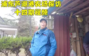 Download Video: 本地老爷叔，我们这外地人已成气候了，剩下上海人都是老弱病残