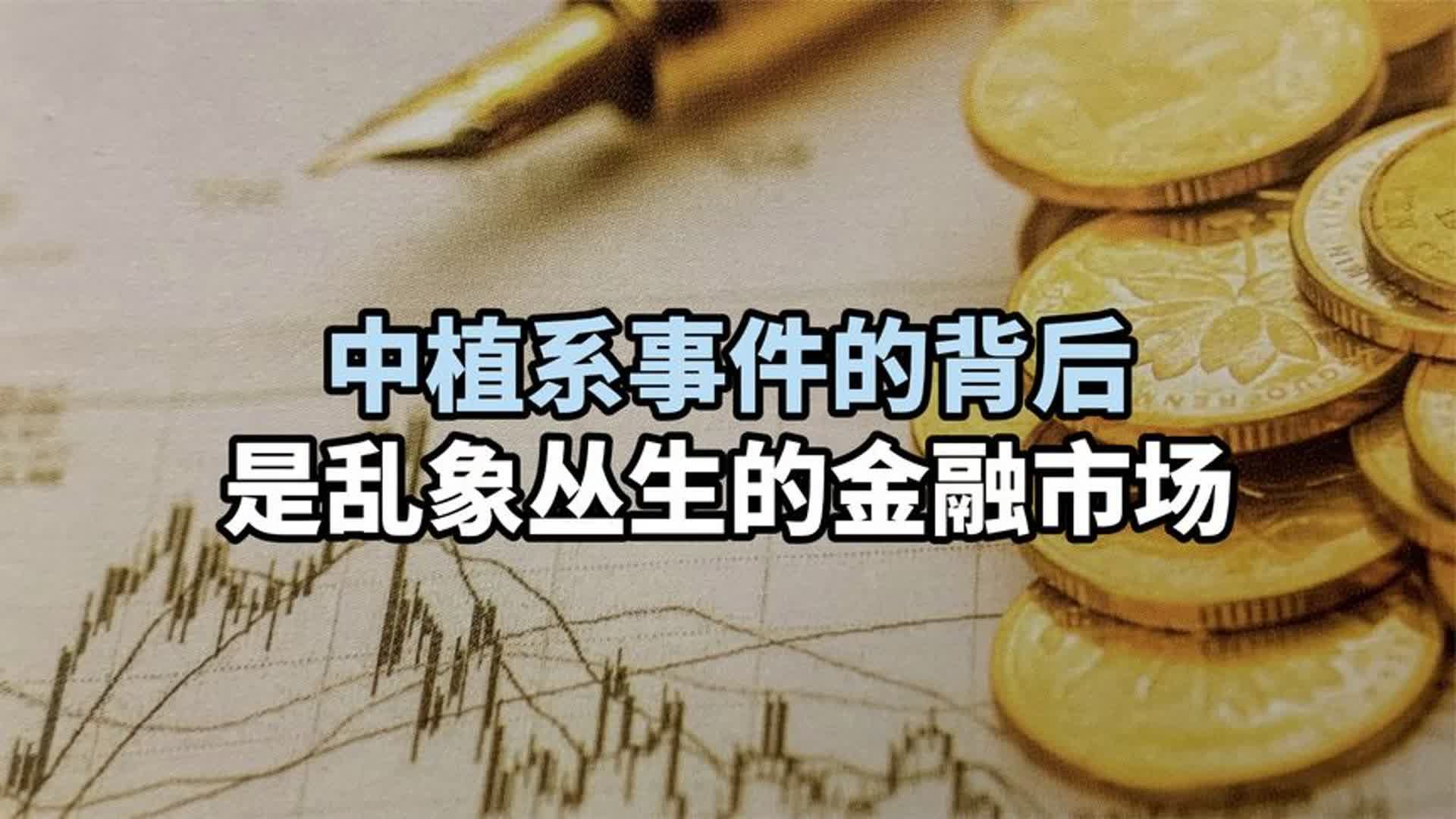 起底中植系事件,金融市场乱象丛生哔哩哔哩bilibili