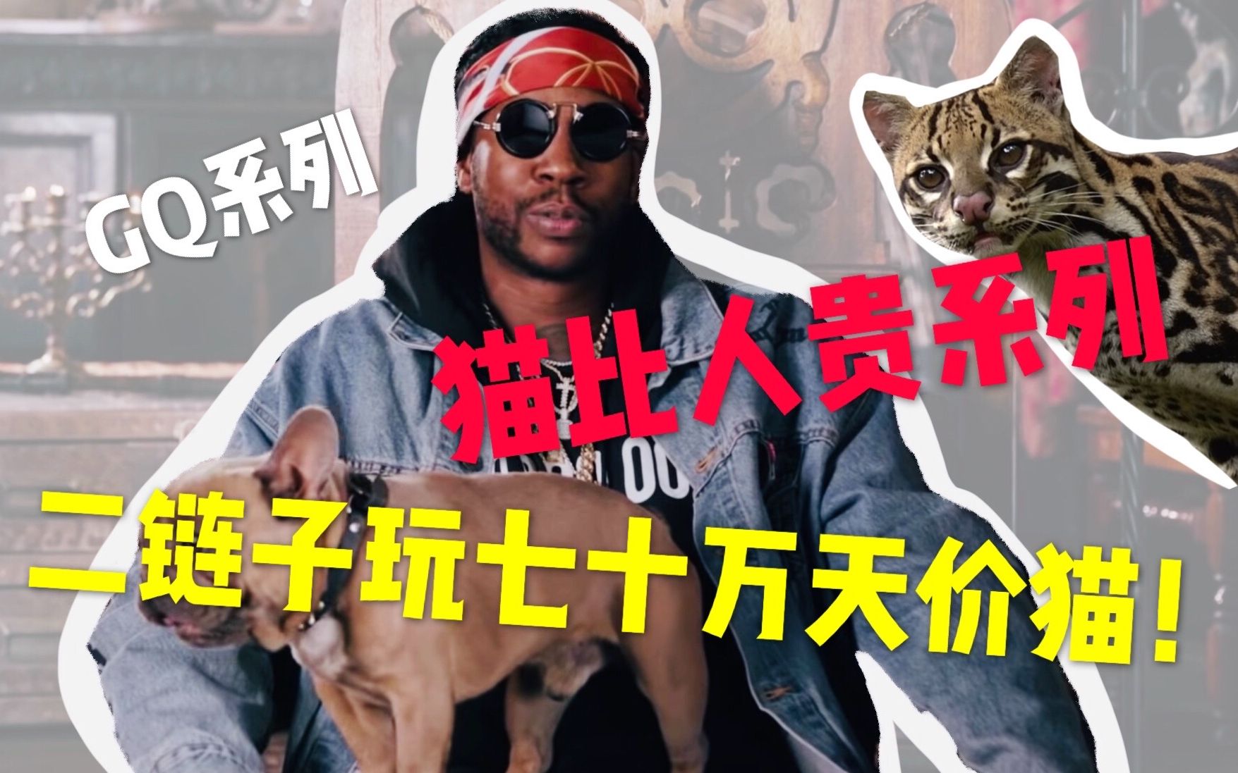 [图]什么猫一只70万？二链子吓得当场昏厥!（2 Chainz 双链 GQ 顶级玩物 猫 宠物 Youtube搬运）