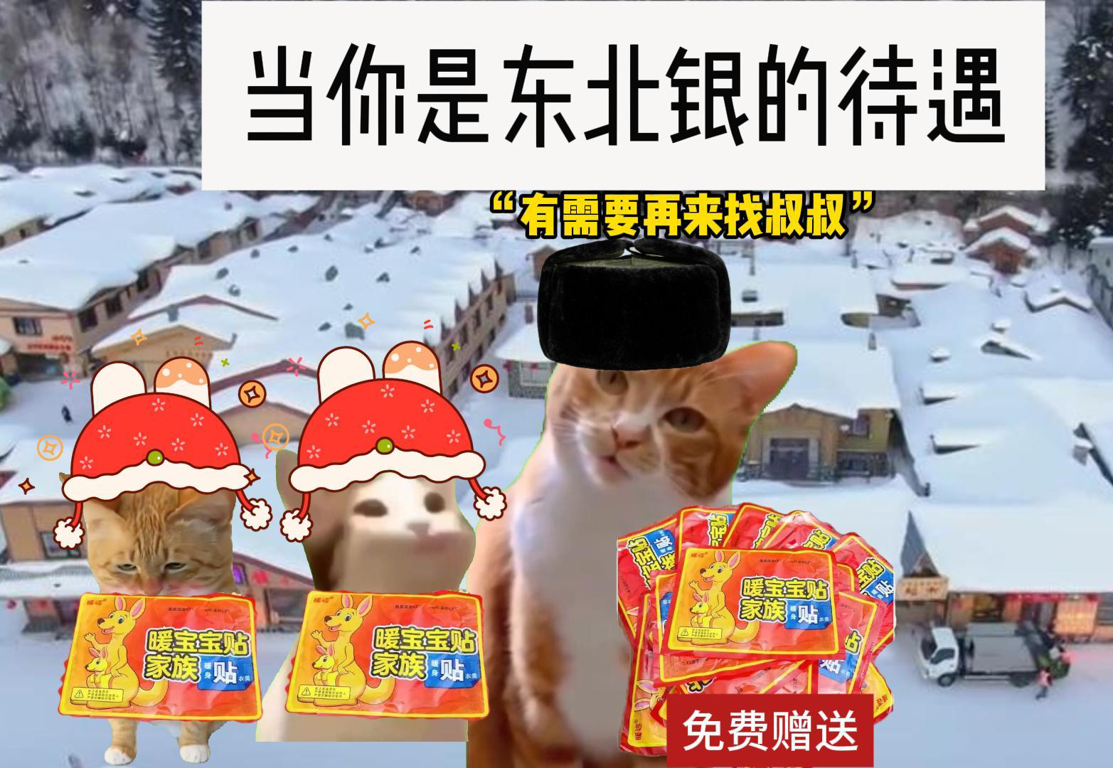 当你是东北银的待遇哔哩哔哩bilibili