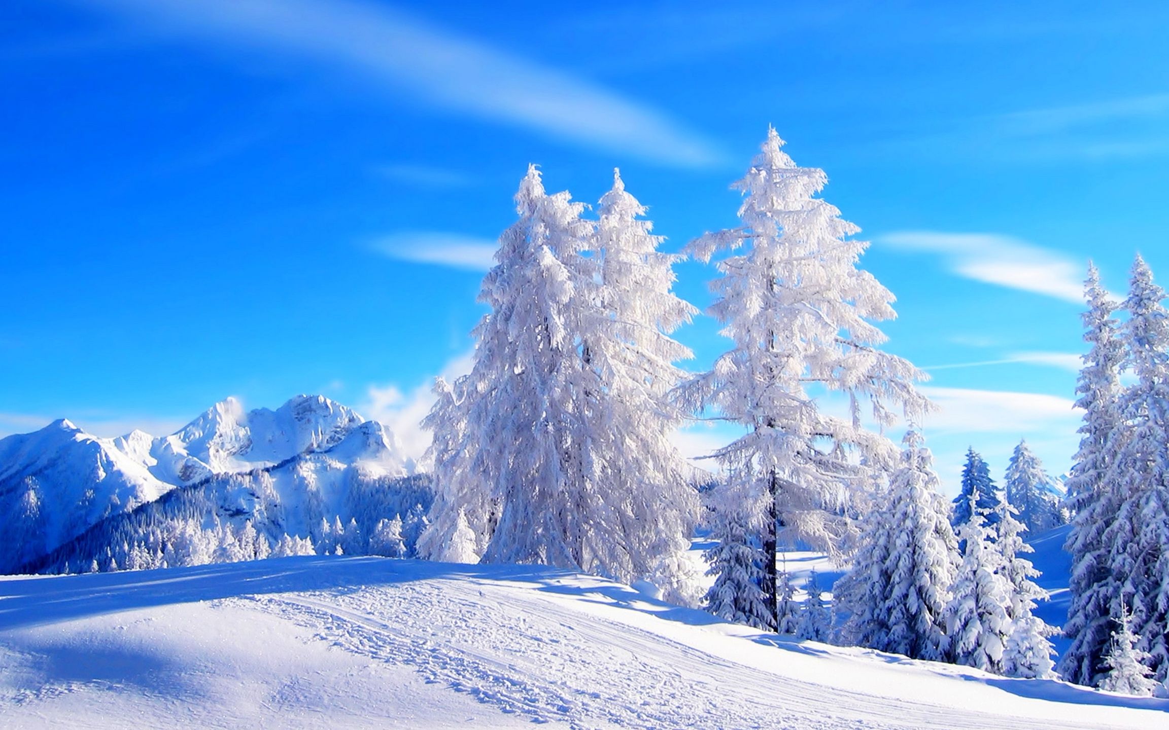 冬季最美风景图片图片