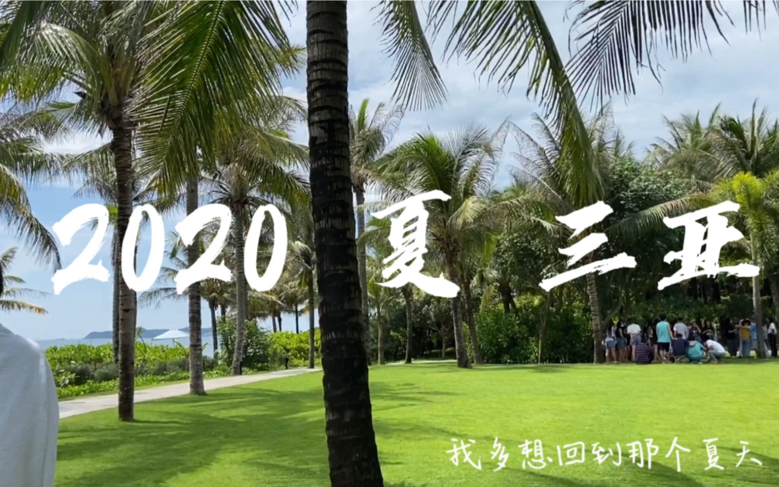 [图]对夏日的怀念，就留在2020的最后一天吧！