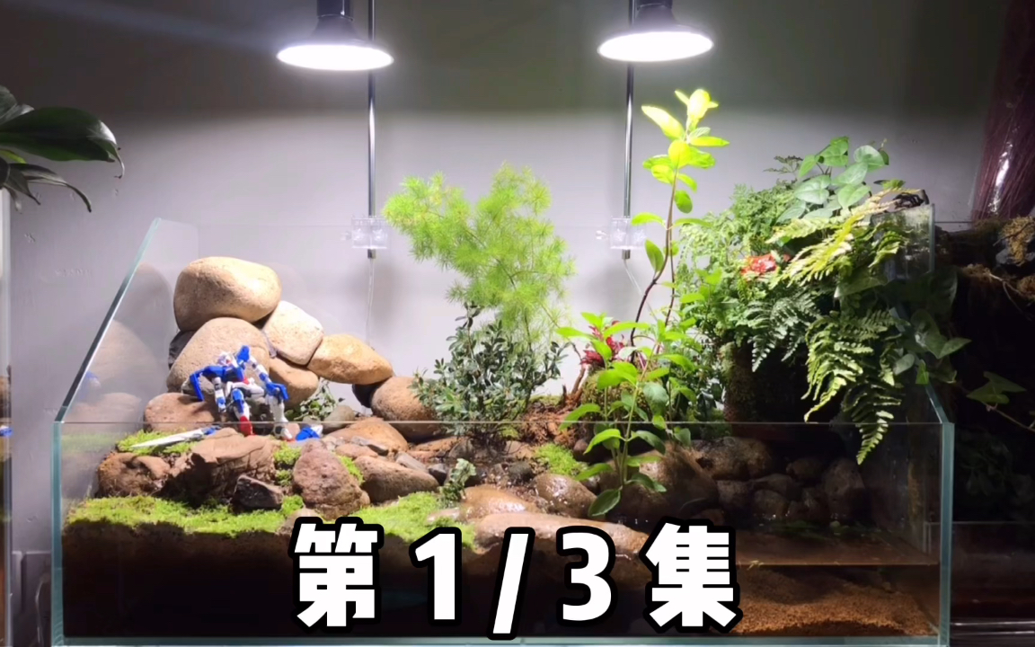 【如花景艺】 diy 水陆缸流水 乌龟螃蟹生态原生爬宠造景哔哩哔哩bilibili