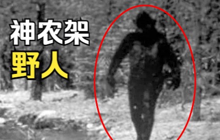 [图]神农架深处，为何被列为禁区？野人真的存在吗？