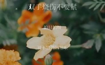 [图]我们一起学唱《花鼓戏》#全民k歌#花鼓戏#蔡缤导师-天乐天成