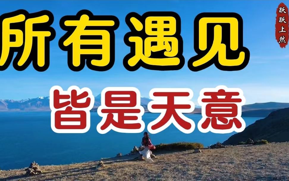 所有遇见,皆是天意,遇到的人和事只能陪你一段,不能陪你全部_哔哩哔哩