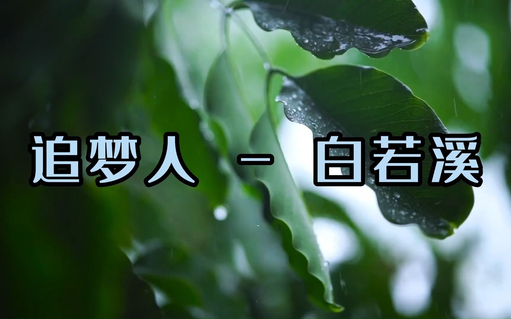 【那些年存在mp3里歌】追梦人 - 白若溪