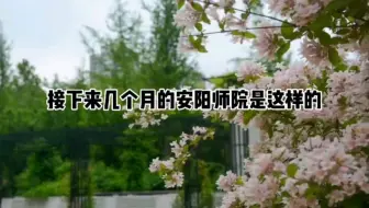 接下来几个月的安师是这样的