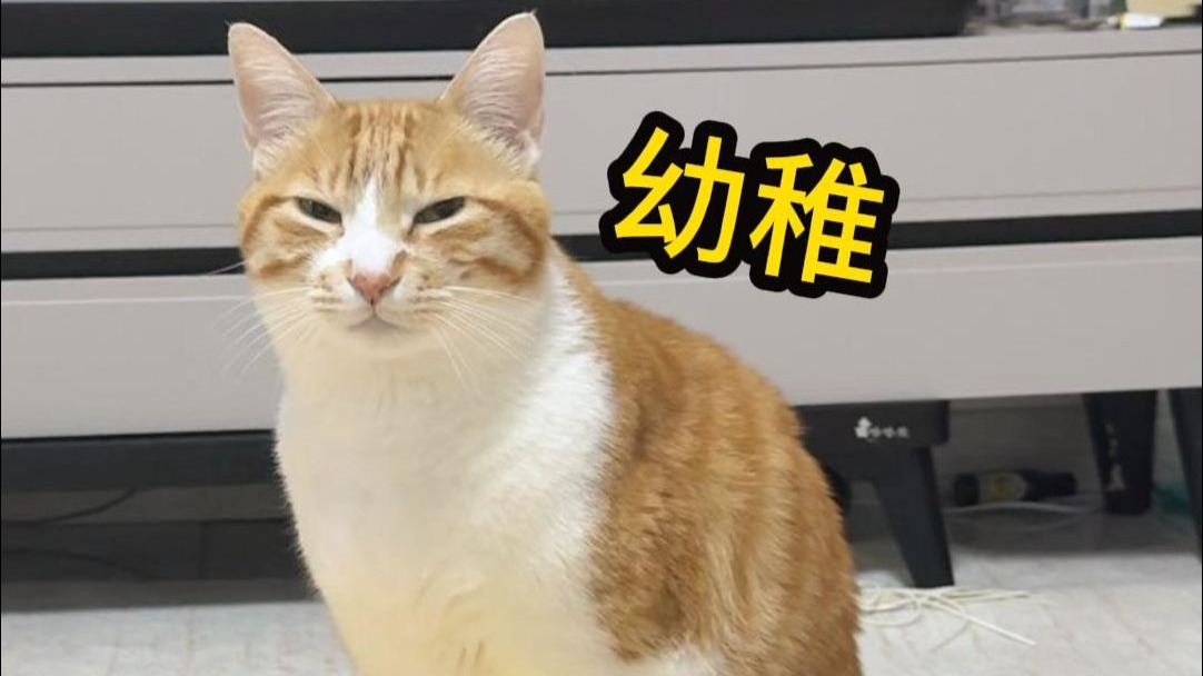 这和小孩有什么区别呢？