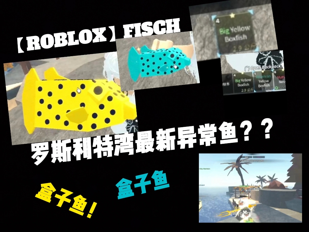 【ROBLOX】最新罗斯利特湾异常鱼,全新盒子鱼!哔哩哔哩bilibili