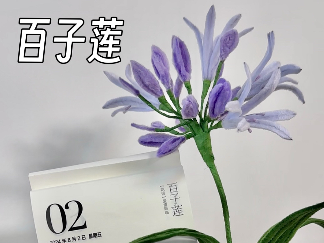 百子莲扭扭棒教程