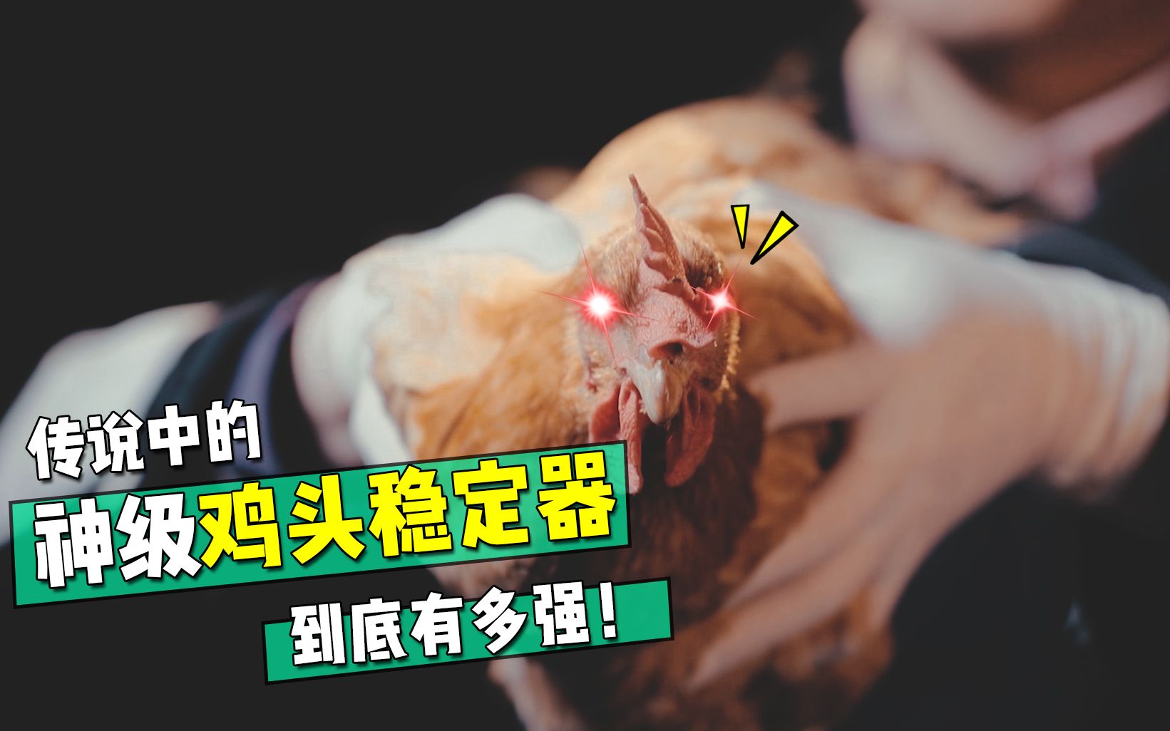 传说中的神级鸡头稳定器到底有多强