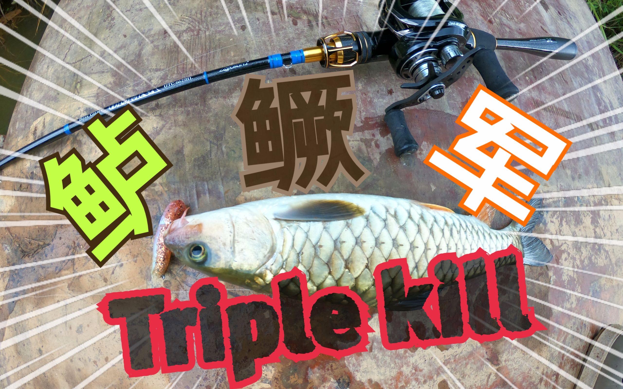 亖月的vlog 鱸 鱖 軍 triple kill 路亞 鱸魚 鱖魚 軍魚 一次路到爽!