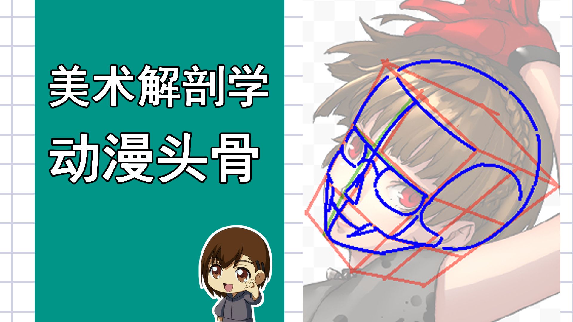 美术解剖学-10-动漫头骨还原
