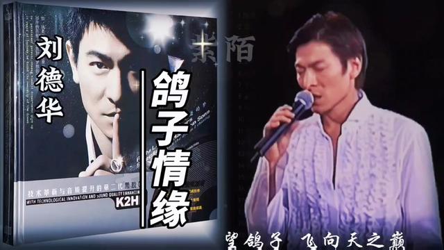 刘德华演唱《鸽子情缘》.