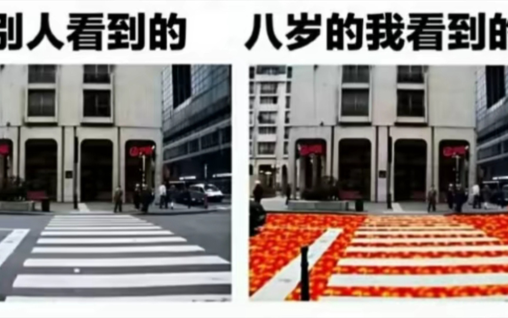 【沙雕梗图】人间真实系列(44)