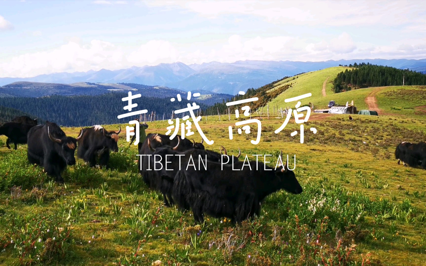 [图]川藏线第3天·青藏高原 Tibetan Plateau