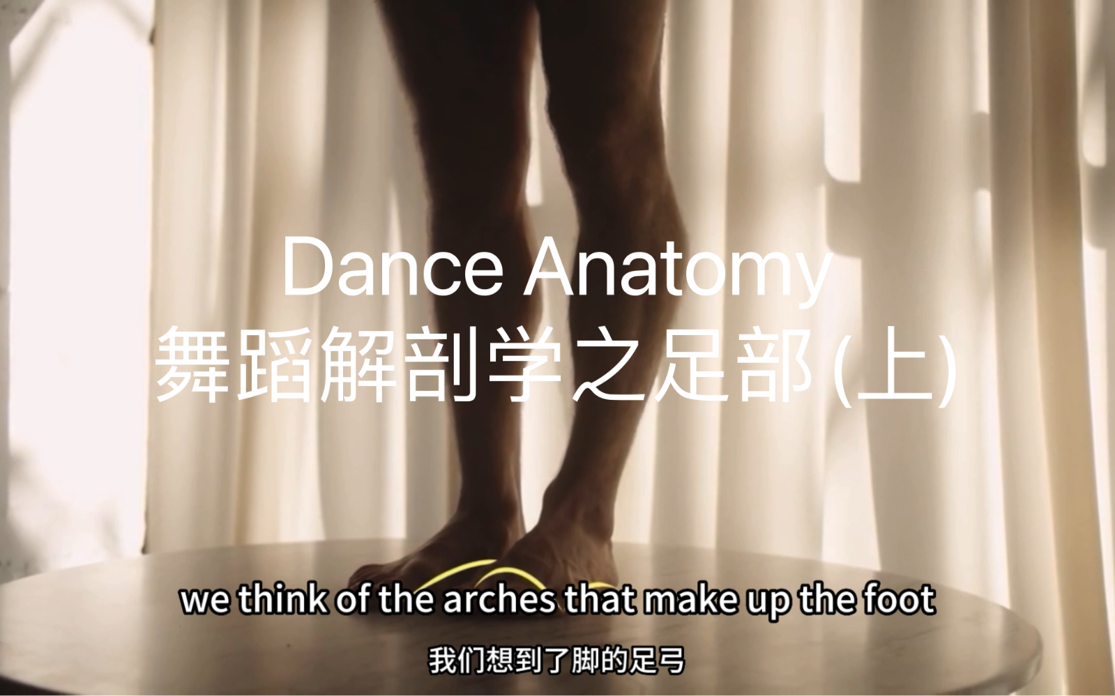 Dance Anatomy|舞蹈解剖学之足部(上)哔哩哔哩bilibili