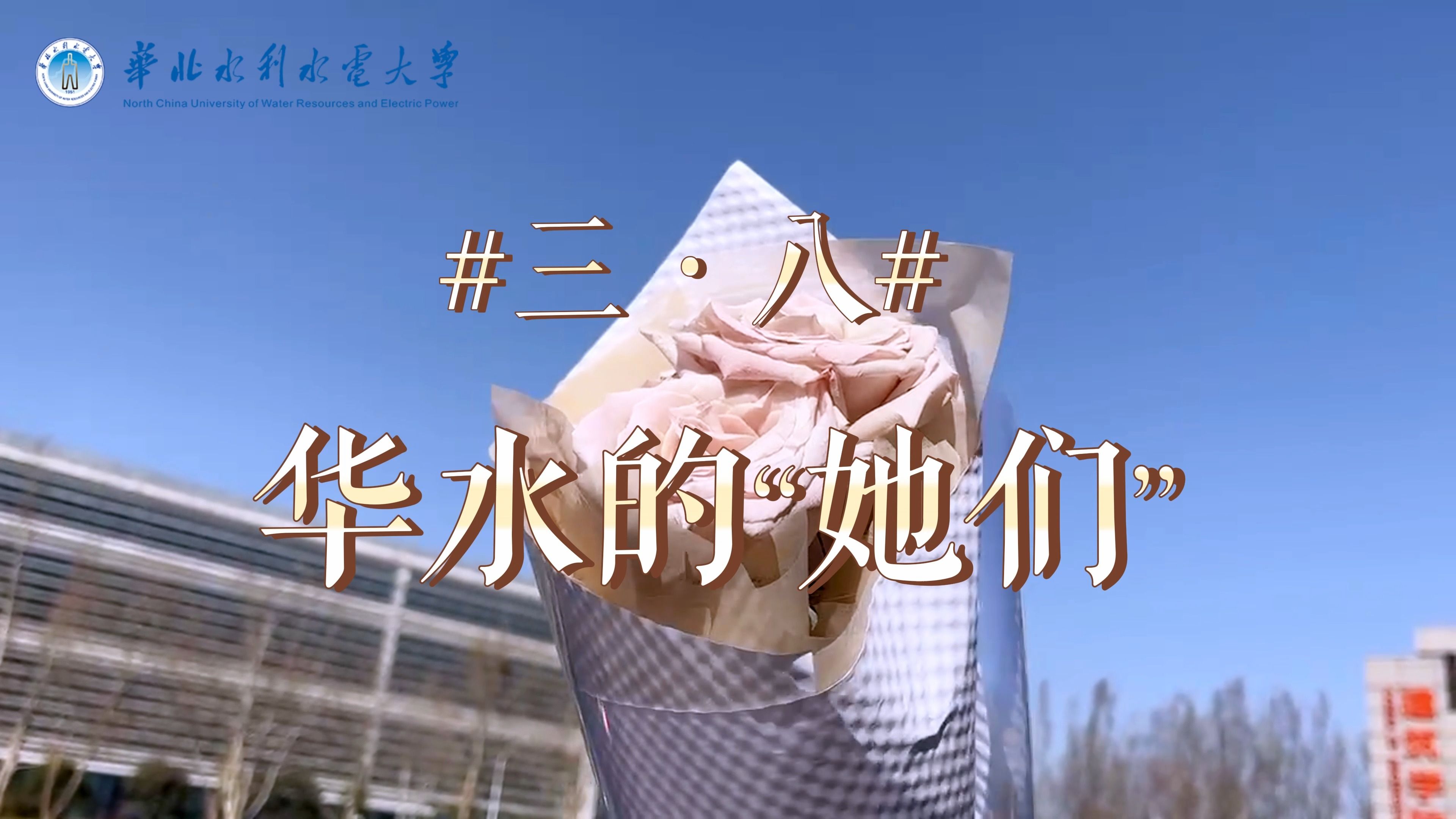 华水的“她们”哔哩哔哩bilibili