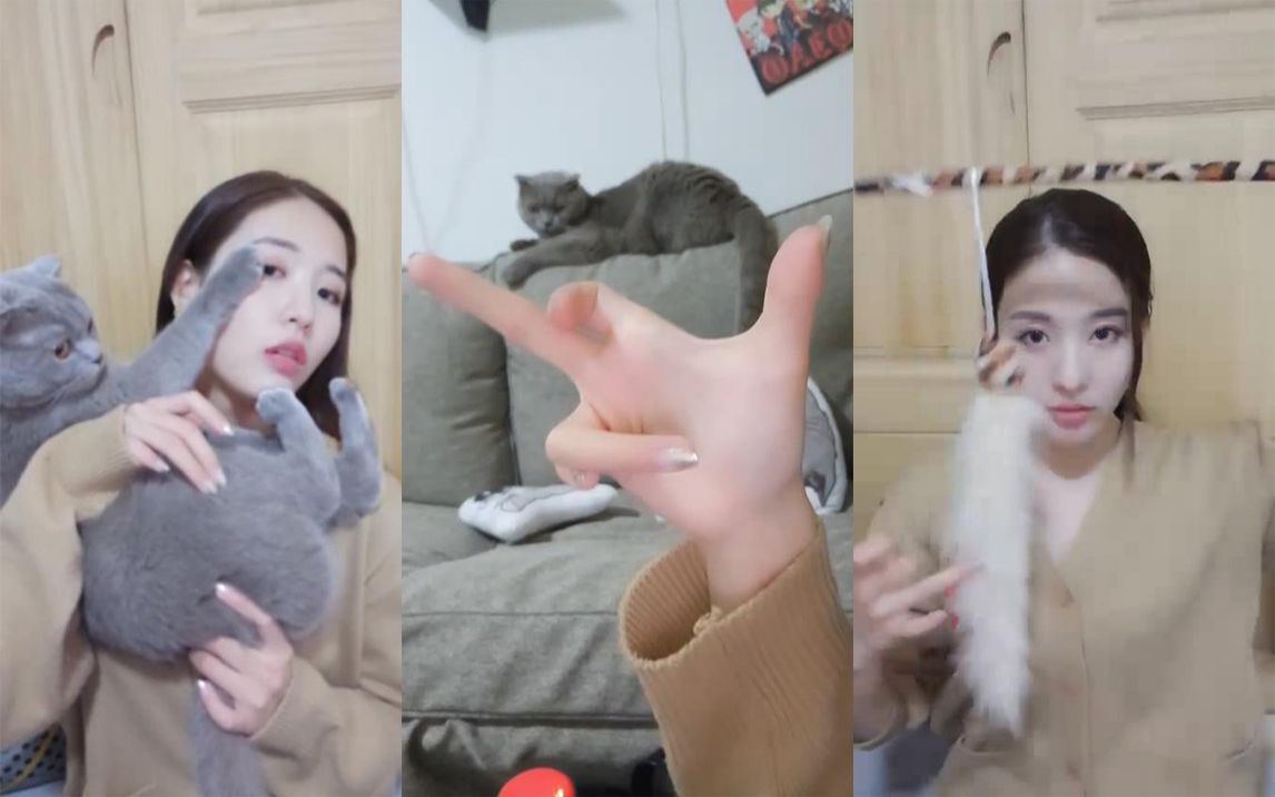 snh48孙芮优秀偶像正能量挑逗拍卖社会猫吃鸡分享上课趣事20190626