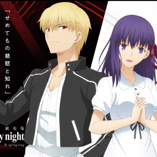 剧场版《Fate/stay night Heaven's Feel Ⅲ.spring song》100天视觉图