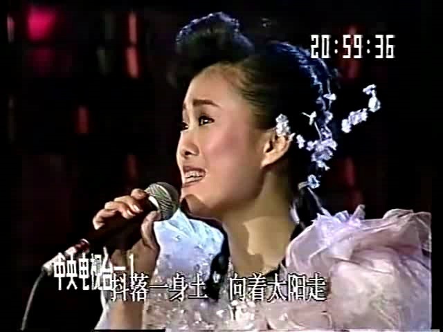 怀旧金曲《中国,你往高处走》蔡红虹哔哩哔哩bilibili