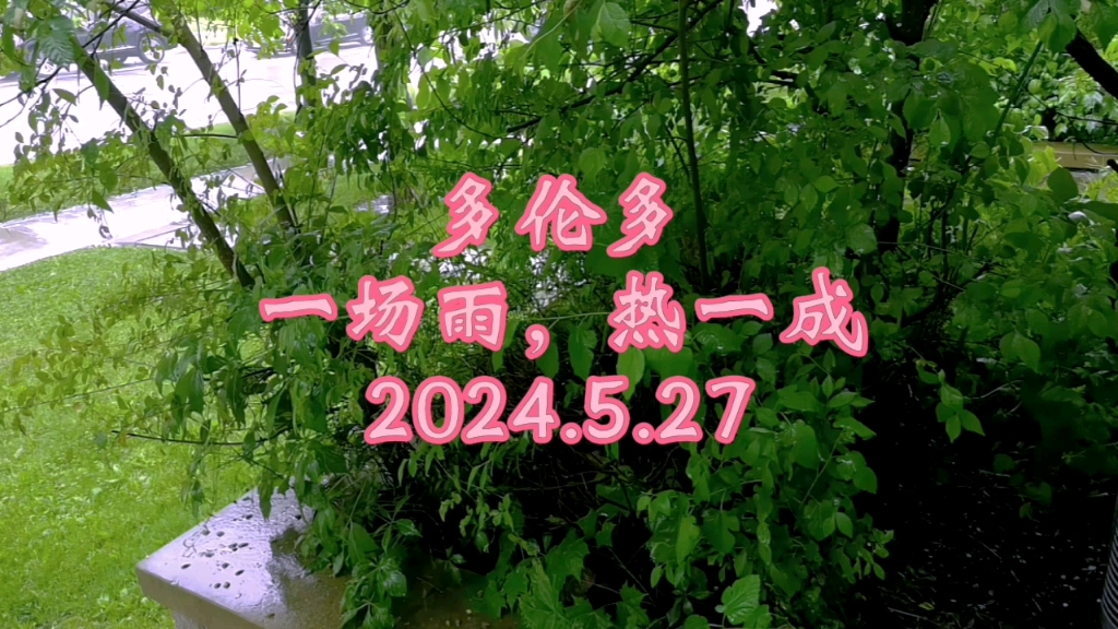 北约克雨2024.5.27哔哩哔哩bilibili