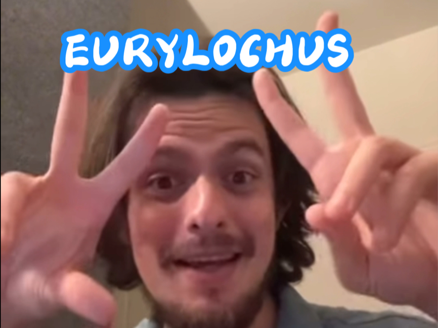 Eurylochus的音乐解析(Rambling about Eurylochus's music)【Epic: The Musical】哔哩哔哩bilibili