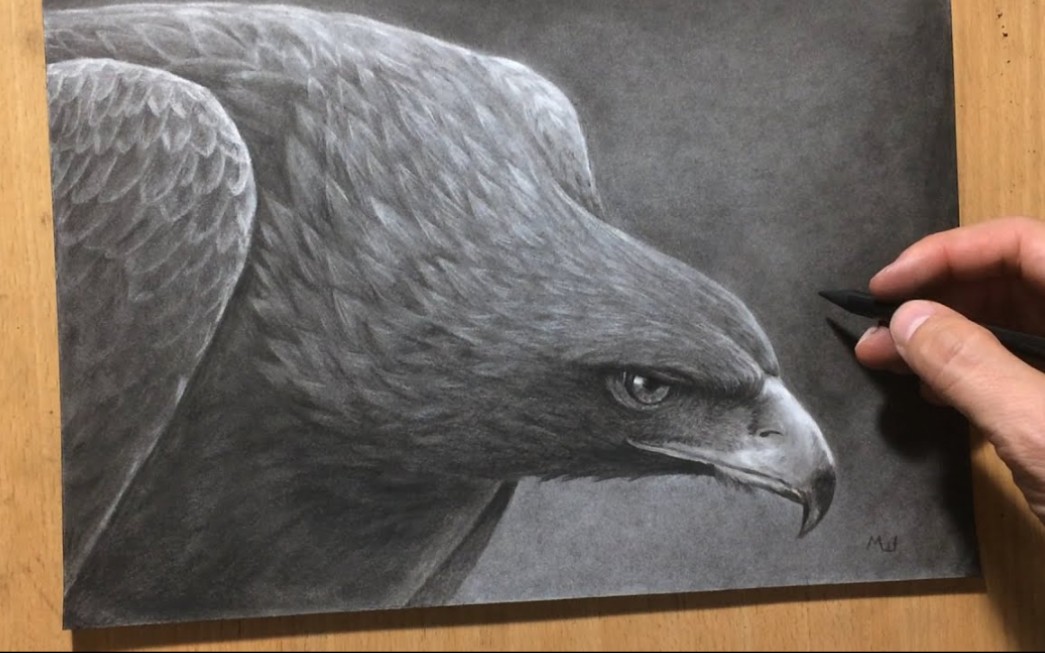 【素描】miroslav sunjkic the pencil maestro教你