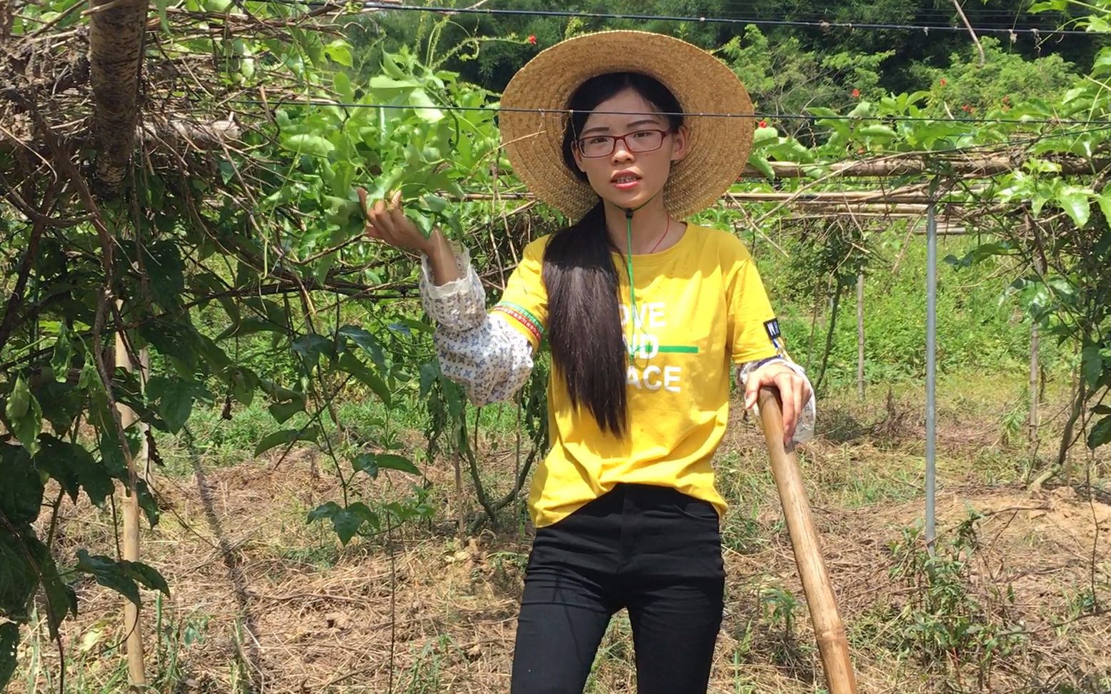 姑娘不愿外出打工,留守农村陪伴父母,创业种植百香果,你觉得她会成功