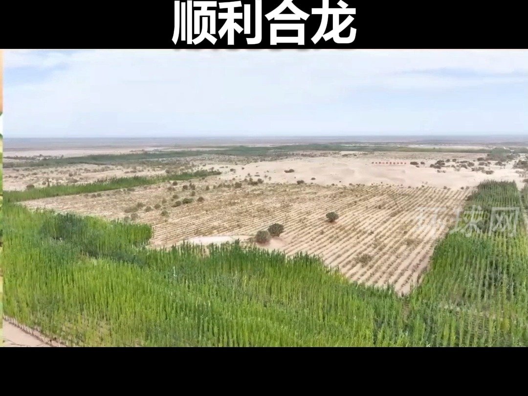 塔克拉玛干沙漠你听着,你已经被包围了.人类伟大奇迹铸成!