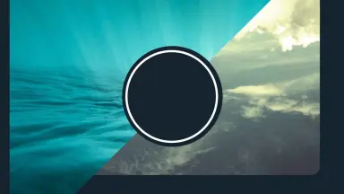 sakanaction/-哔哩哔哩_Bilibili