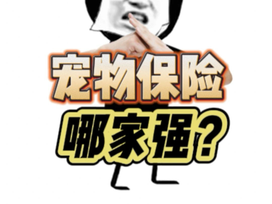 宠物保险哪家强?哔哩哔哩bilibili