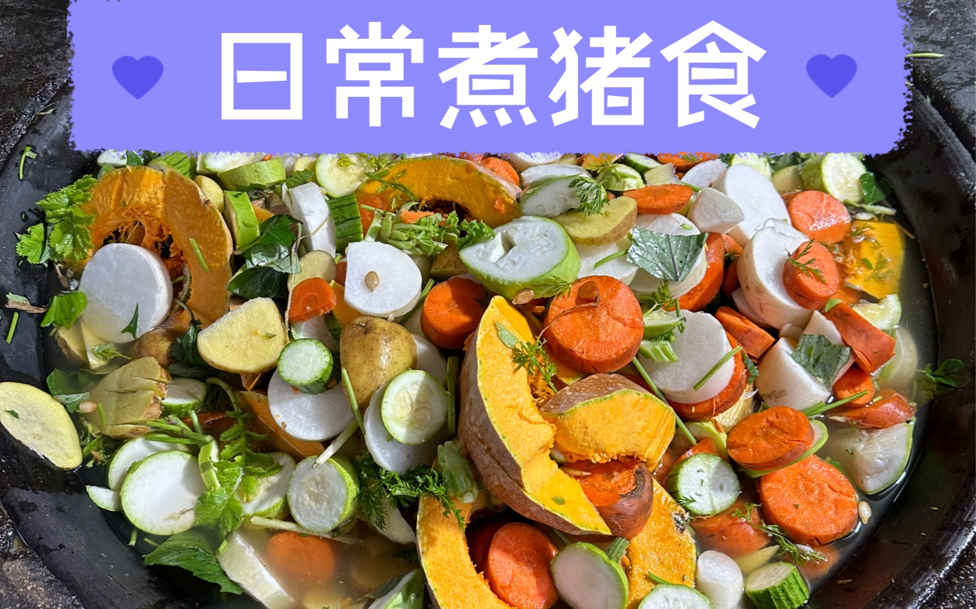 我又开始煮猪食啦,今天的菜多样而且新鲜!