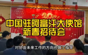 Download Video: 中国驻阿富汗大使馆新春招待会