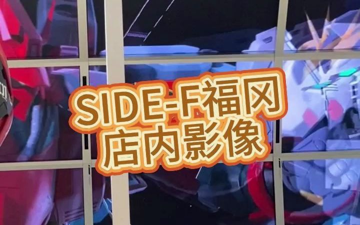 SIEDF福冈 店内影像哔哩哔哩bilibili