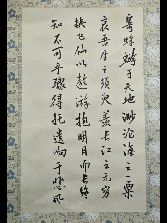 赤壁赋.寄蜉蝣于天地,渺沧海之一粟.哀吾生之须臾,羡长江之无穷.挟飞