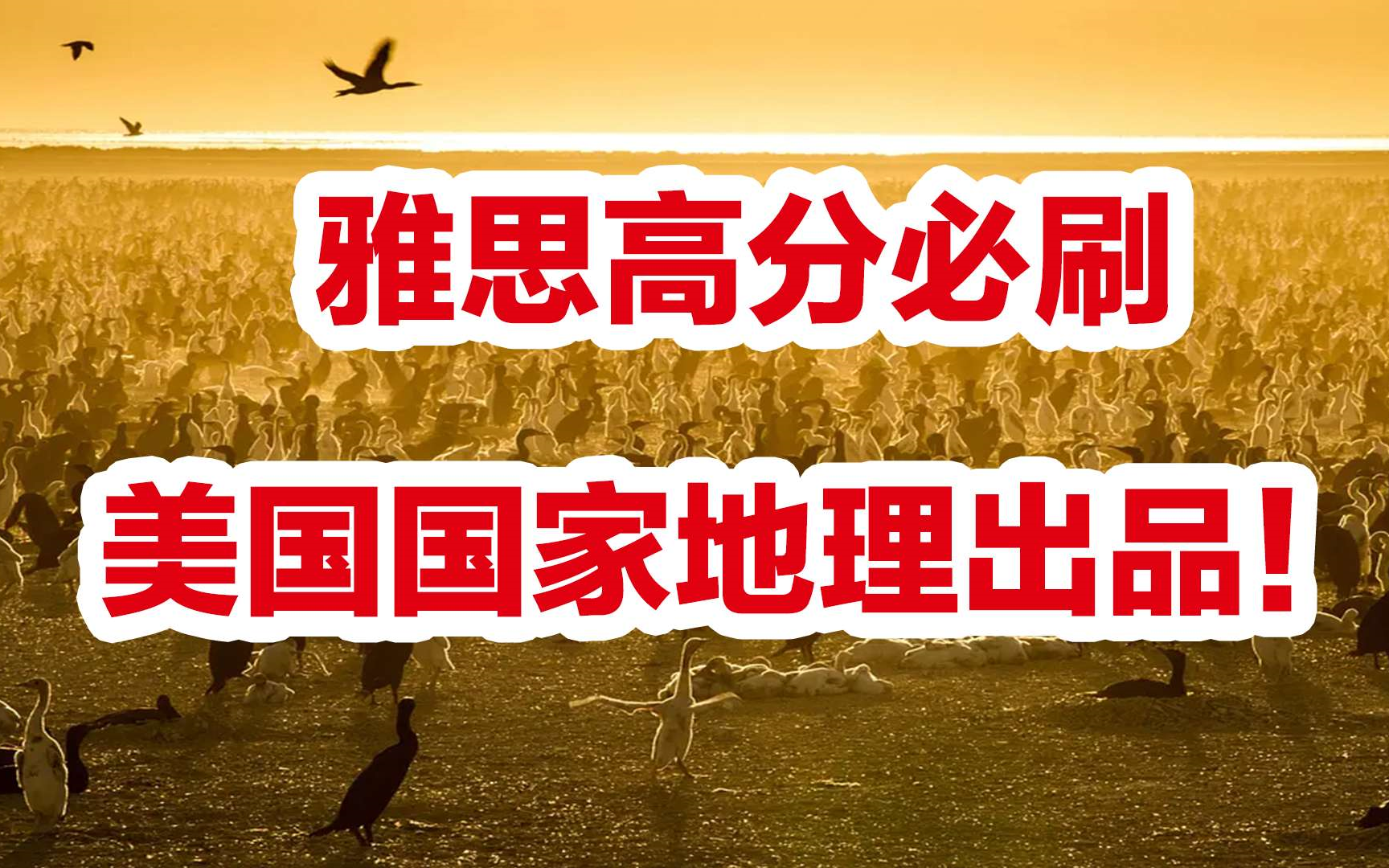 雅思高分必刷!美国国家地理出品!绝佳的英语听力素材哔哩哔哩bilibili