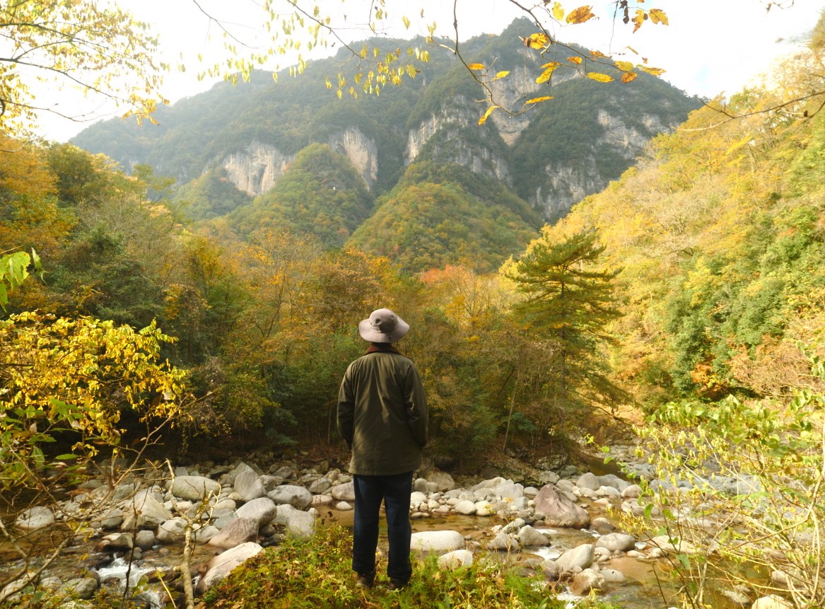 大巴山最美的秋季到了,一个人去森林里露营打野,在美丽的溪流旁垂钓哔哩哔哩bilibili