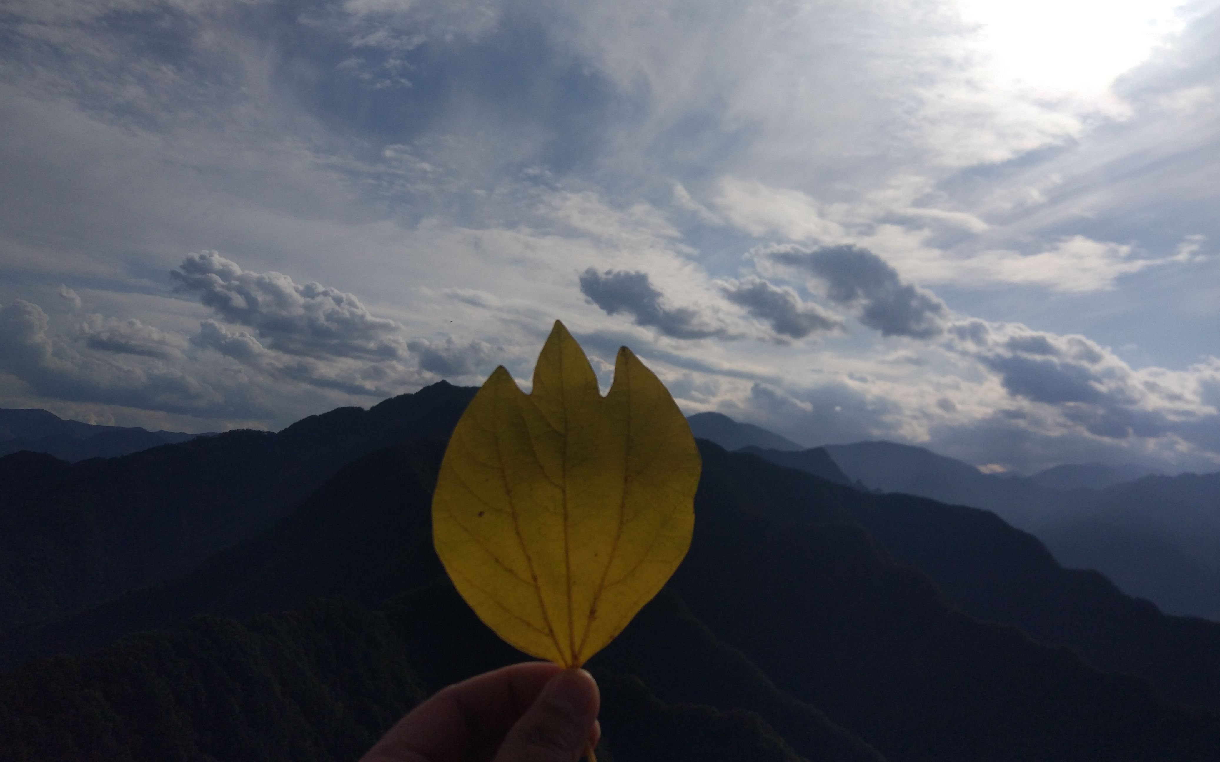 秋游秦岭翠峰青山哔哩哔哩bilibili