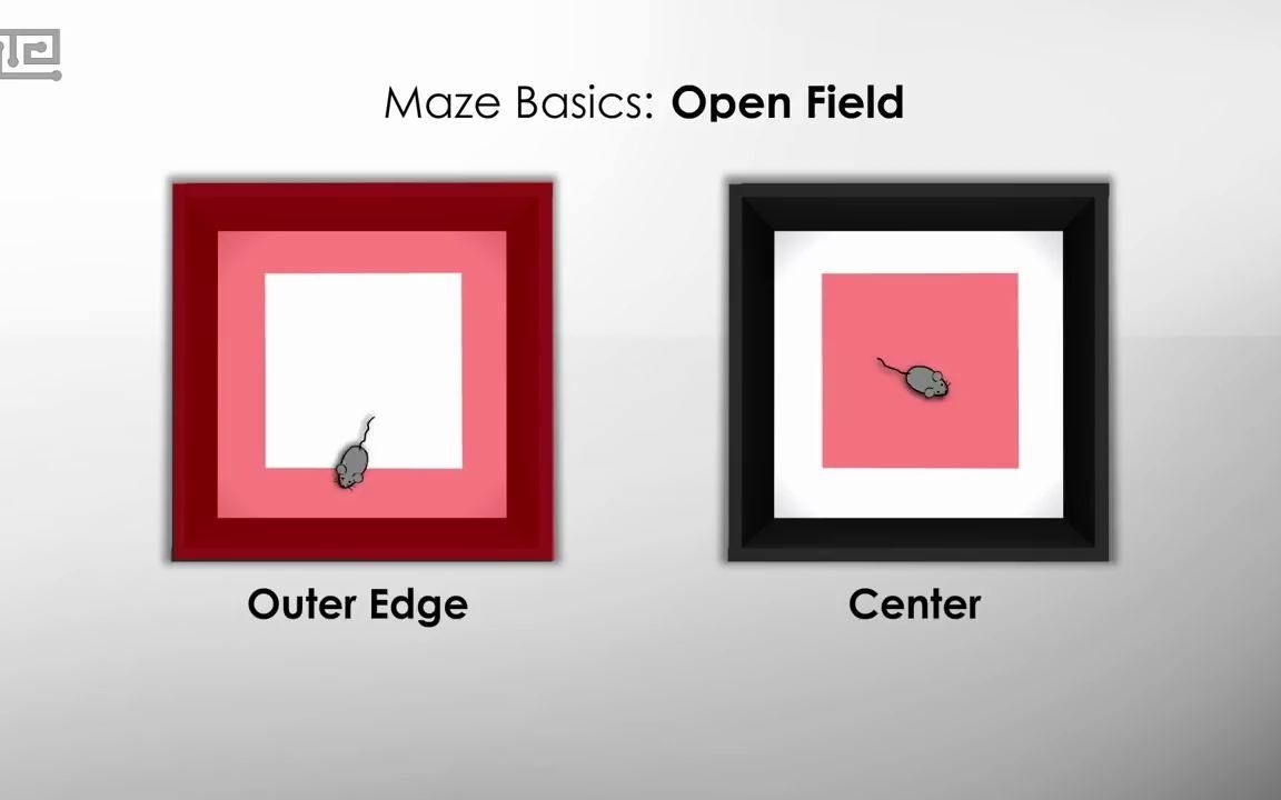 [图]实验介绍-旷场实验 Open Field Test_ A Measure of Anxiety