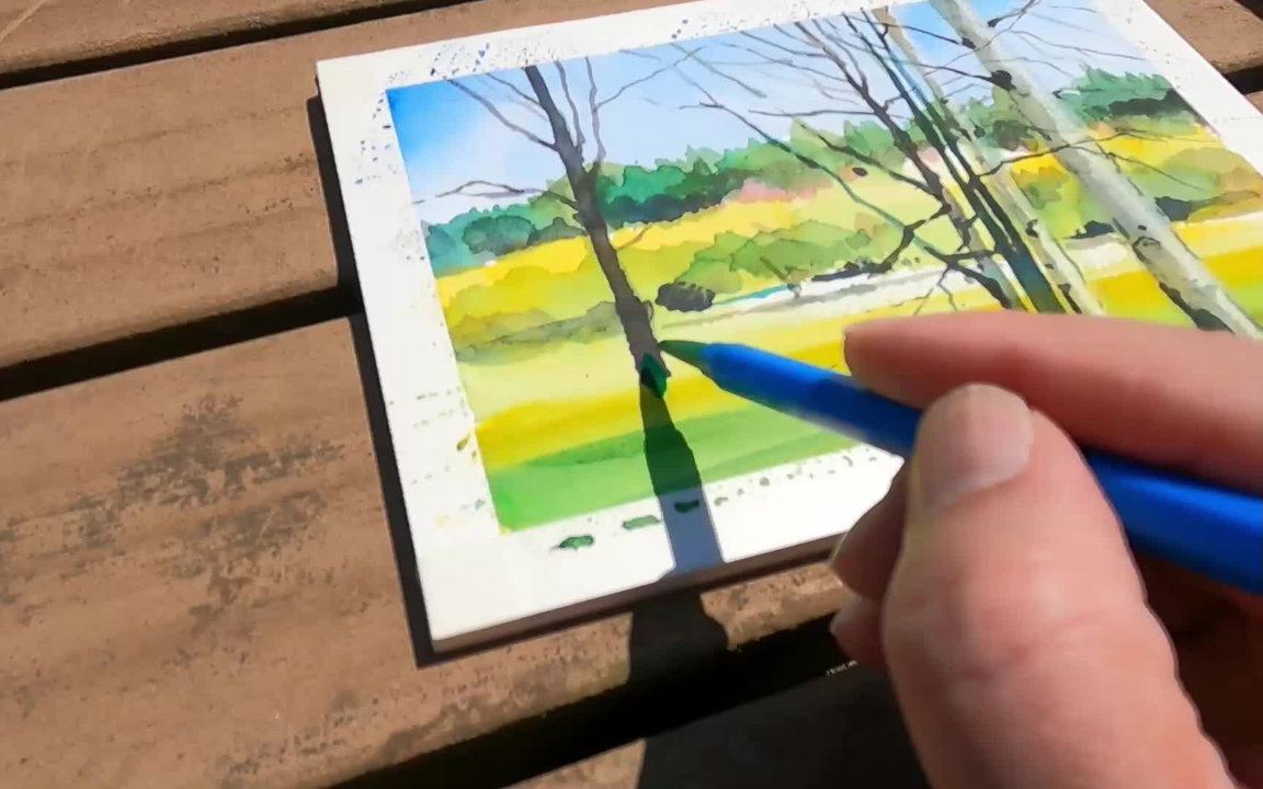 Watercolor Sakai Yoshimoto--新緑の公園散歩2024 水彩画酒井芳元_哔哩