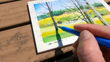 Watercolor Sakai Yoshimoto--新緑の公園散歩2024 水彩画酒井芳元_哔哩